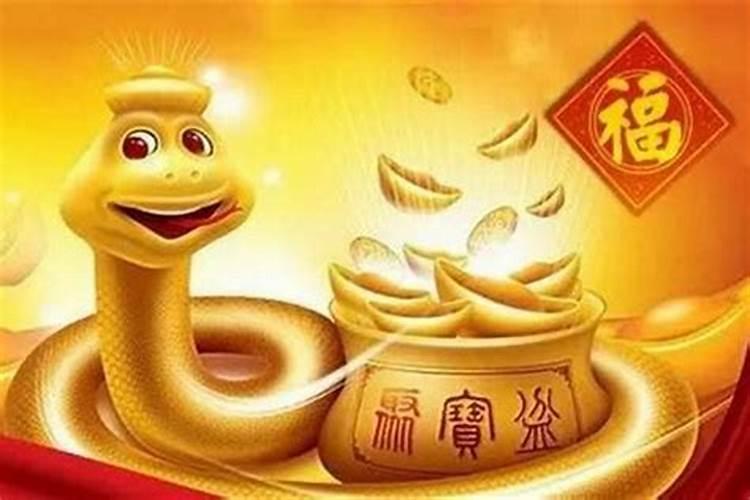 属蛇今年的感情有什么变化