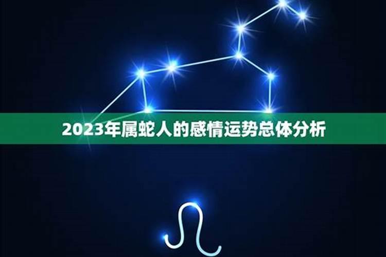 属蛇的人2021年感情运势好不好财运好不好