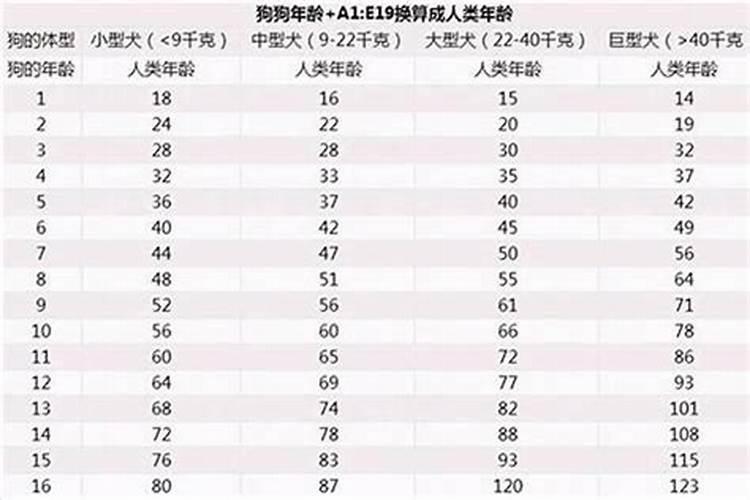 属狗的今年是多大年龄啊男