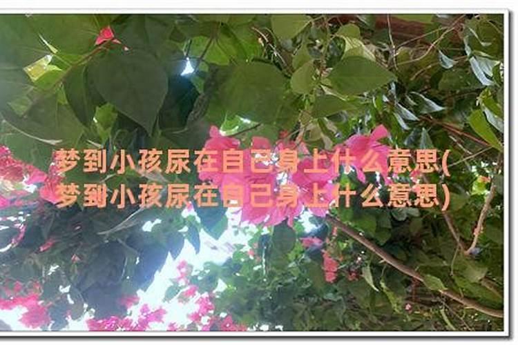 梦见男婴尿自己身上怎么回事