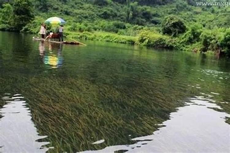 梦见过河水越来越大了啥意思呀