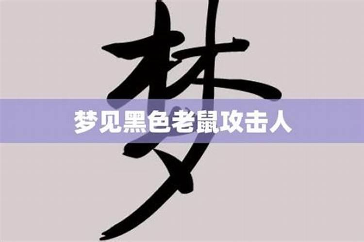 梦到老鼠泛滥成灾后次日本人被人打!!