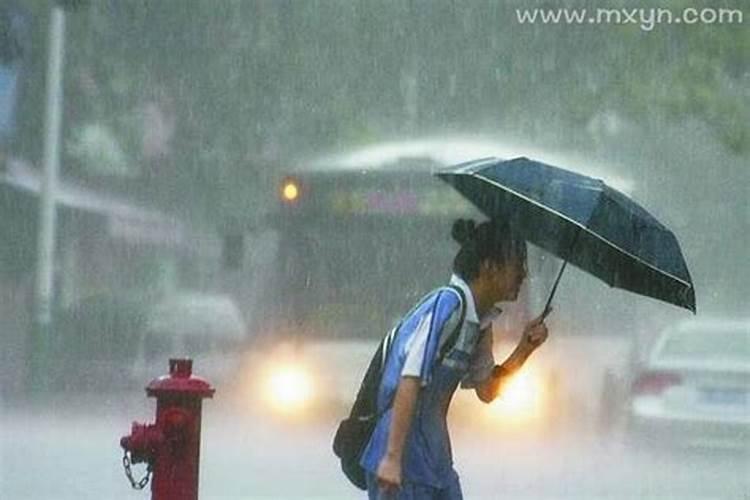 梦到暴雨前夕什么预兆呢女生