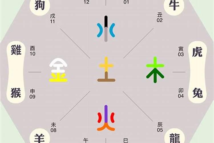 紫字五行属什么