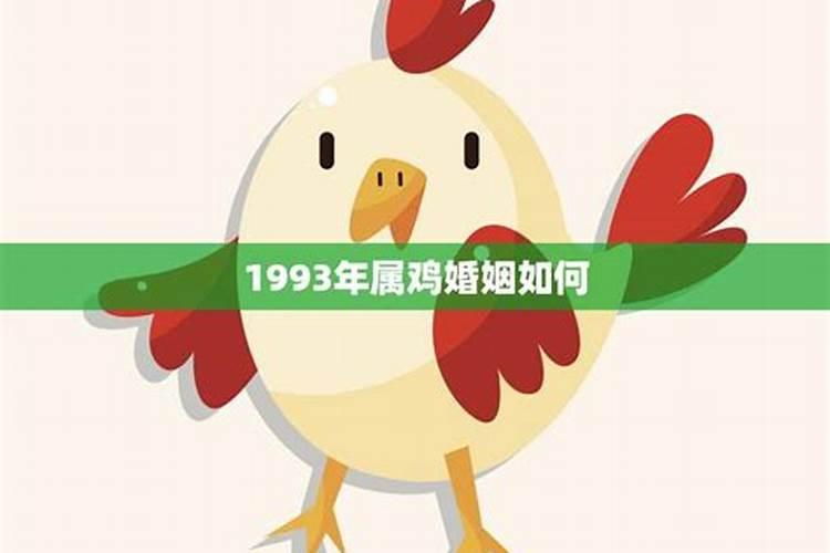 1993年的鸡的婚姻