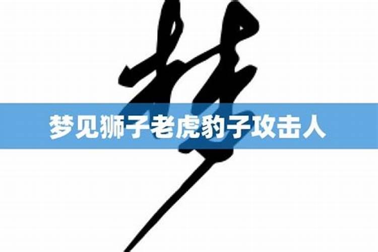 梦到狮子老虎攻击人类