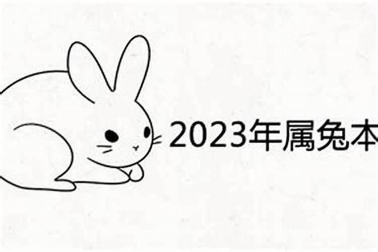 属兔的运势2023年运势