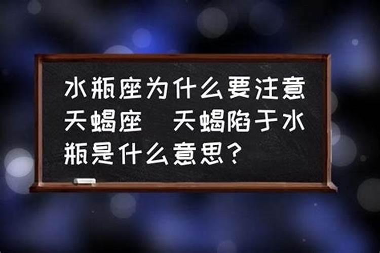 飞黄腾达是哪个生肖