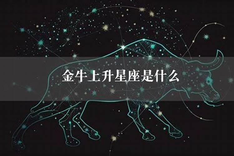 5月15的金牛上升星座