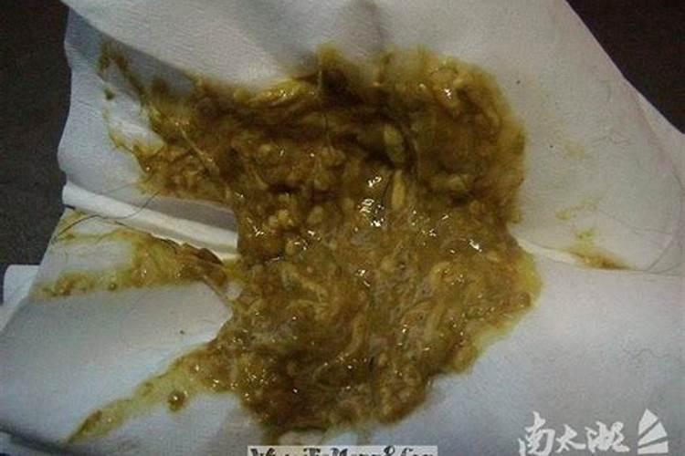 梦到我躺在床上拉屎婆婆还恶心的吐了我一身是什么意思