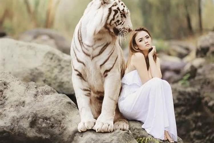 梦见老虎和女孩是什么预兆