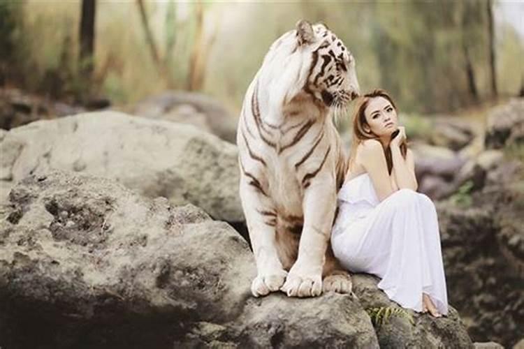梦见老虎和女人是什么意思