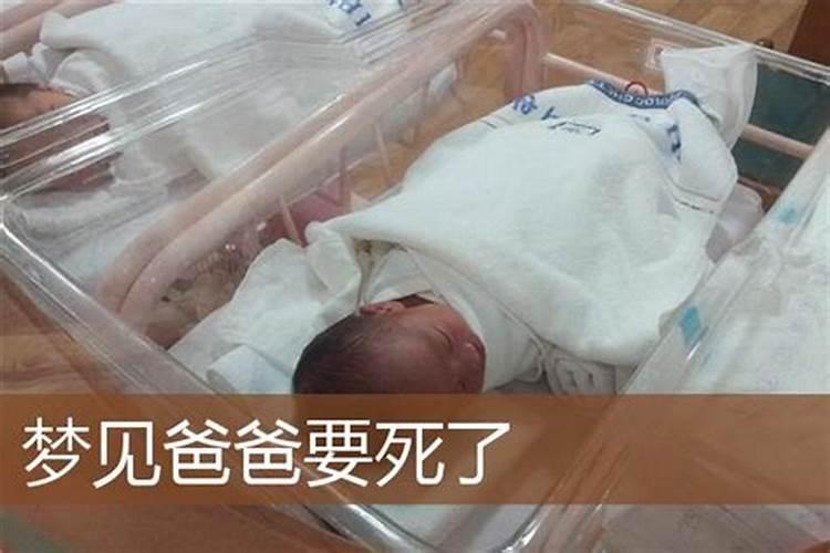 梦见父亲死了还有棺材哭醒了