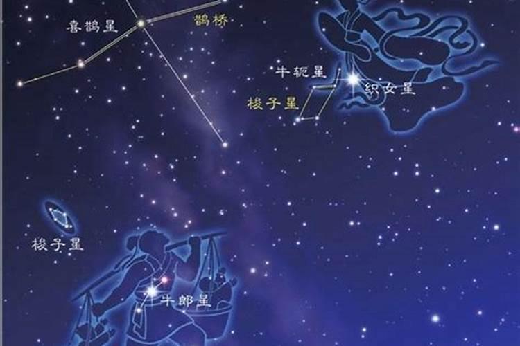 7月份是什么星座男属羊的命运