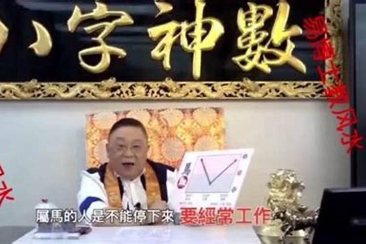 李居明大师2021年属蛇人吉祥物