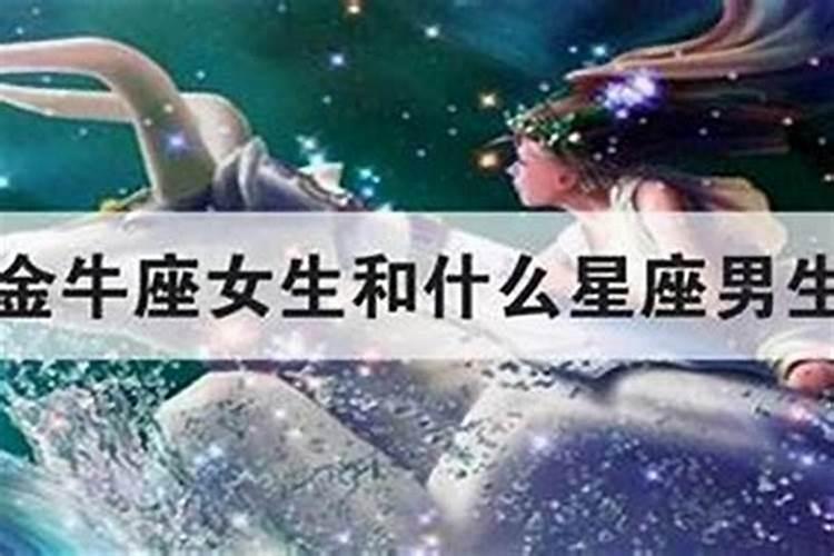 上升双子吸引哪个星座