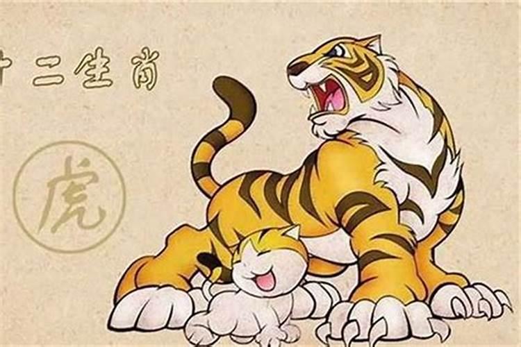 1986年出生的虎在2022年运势