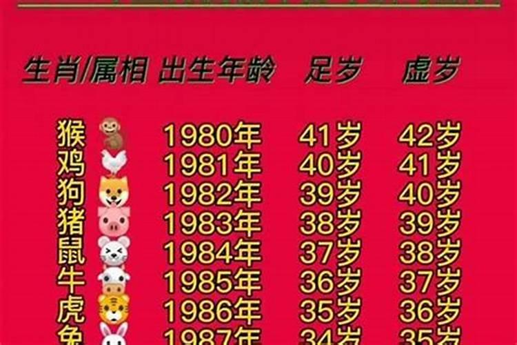 96年多大属什么什么命