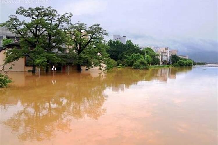 梦见河水发大水了是什么征兆