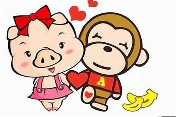 猴和猪属相能配夫妻吗