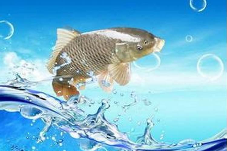 梦见水和鱼代表什么生肖和动物