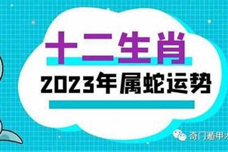 李居明2022年生肖蛇运势运程