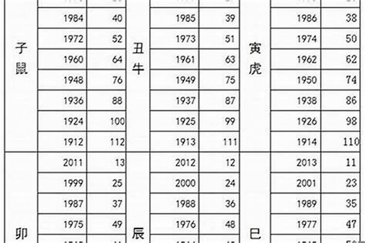 属猪人2021几岁