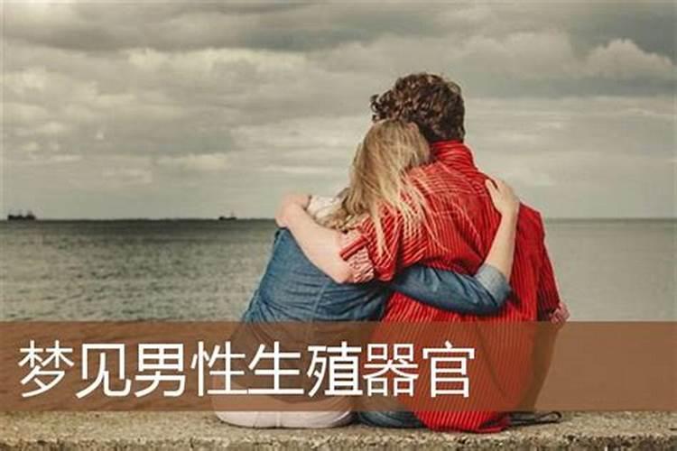 梦见男人的生殖什么意思