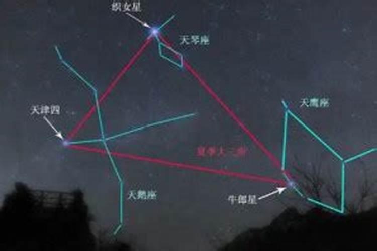 织女星属于哪个星座