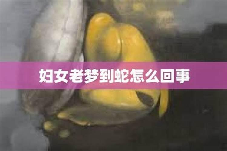 做梦梦到蛇怎么回事