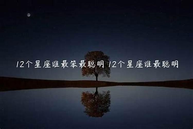 12星座谁最聪明