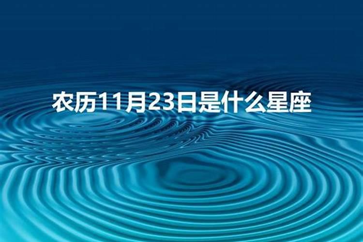 11月24号什么星座