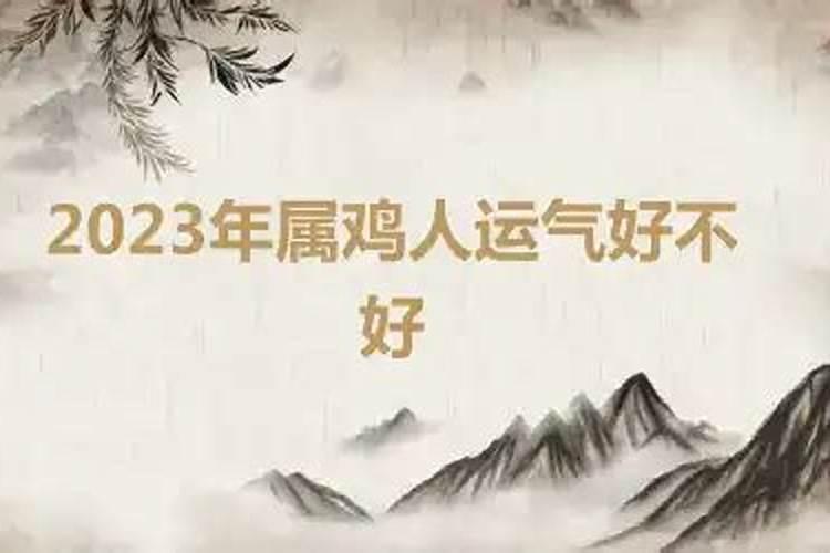 2023年属鸡的运气