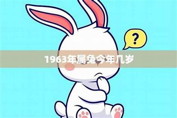 1963年属兔今年的运势如何