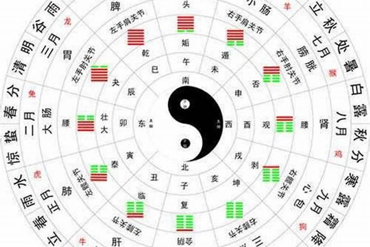 聚五行属什么