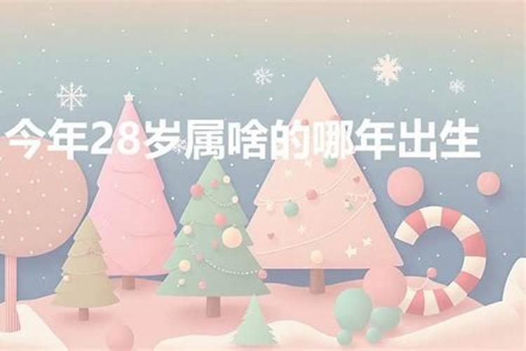 今年28岁属什么的