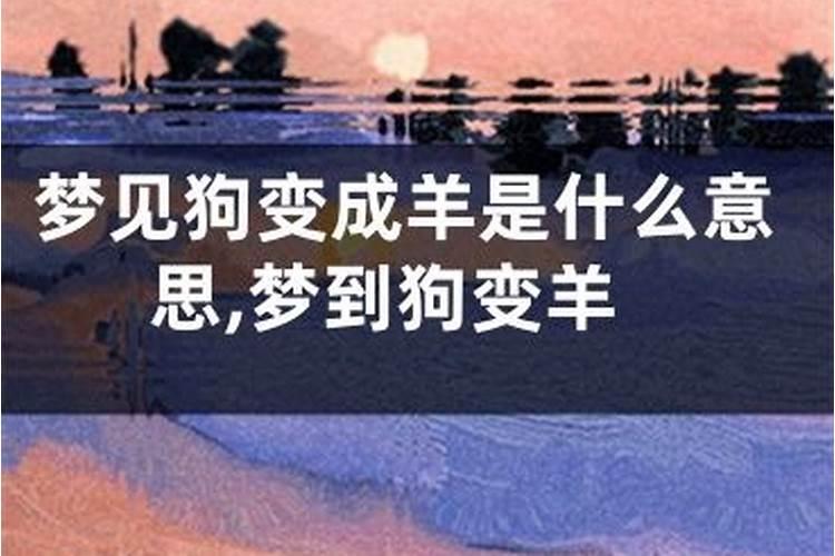 梦见狗和羊是什么意思