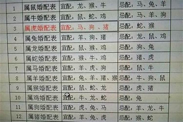 属狗的人与什么属相最配