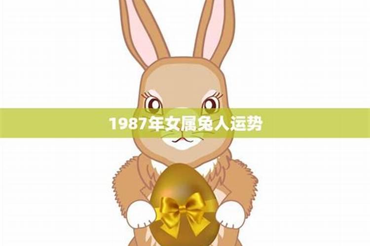 1987年属兔人的运程