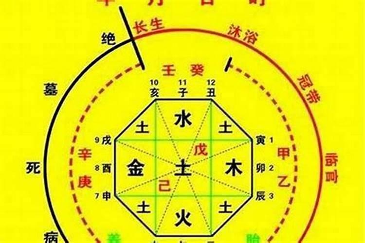 怎么看八字中的忌神和用神的关系