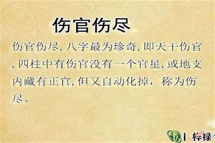 八字格局伤官局什么意思