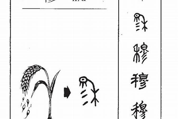 穆字五行属什么