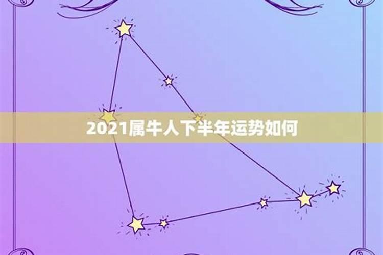 2021属牛人的下半年运势如何