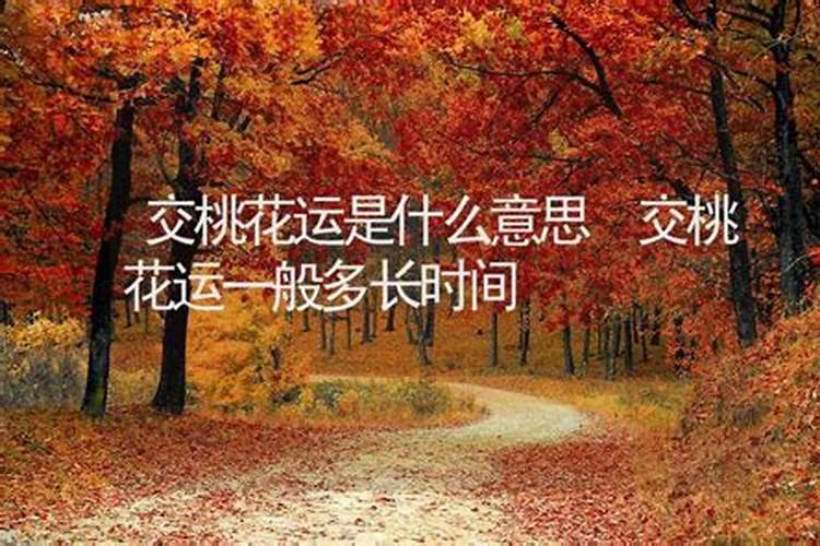 桃花运的动物是什么生肖