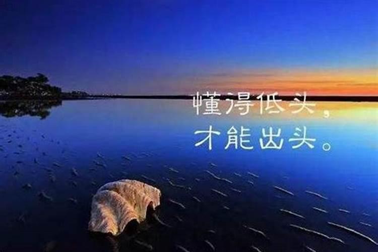 命运哪个重要