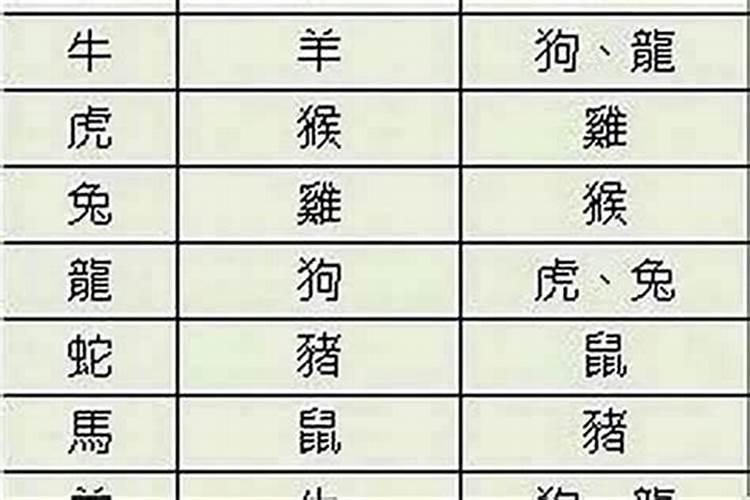 应该相信属相吗