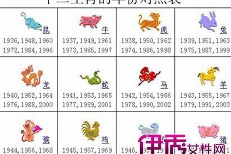 今年24岁属什么生肖