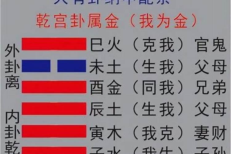 娢字五行属什么