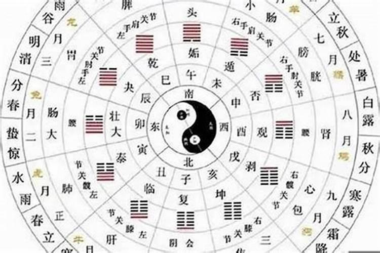 八字合婚看什么柱