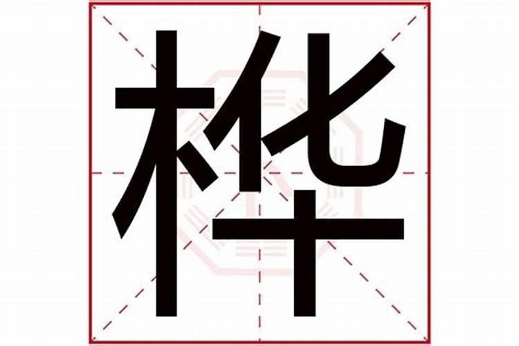 桦字五行属什么